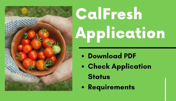 CalFresh Application online status requirements