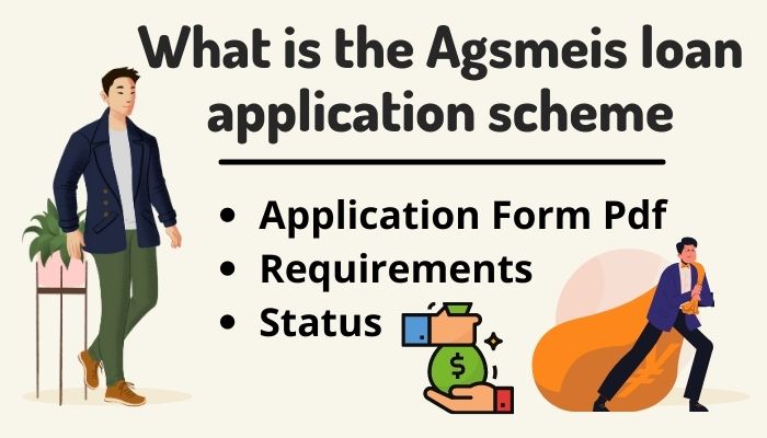 What is the Agsmeis loan application scheme
