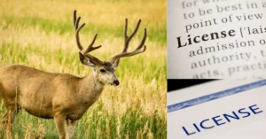 PA Antlerless Application Process Guide (How to Fill out Form)