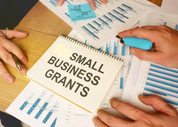 Apply Back 2 Business: B2B grant application Illionis Online?