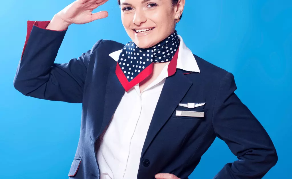 Southwest flight attendant application