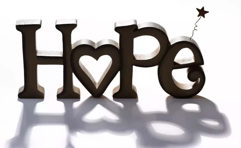 HOPE Program