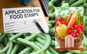 Missouri Food Stamps Application