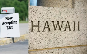 EBT Hawaii Application Guide - Know Requirements & Eligibility