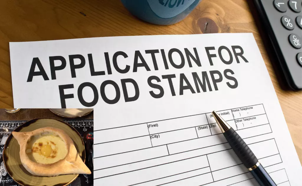 Georgia food stamp application