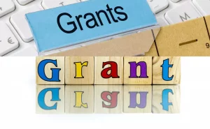 How to Apply for Hello Alice Grant Application? Check Deadline