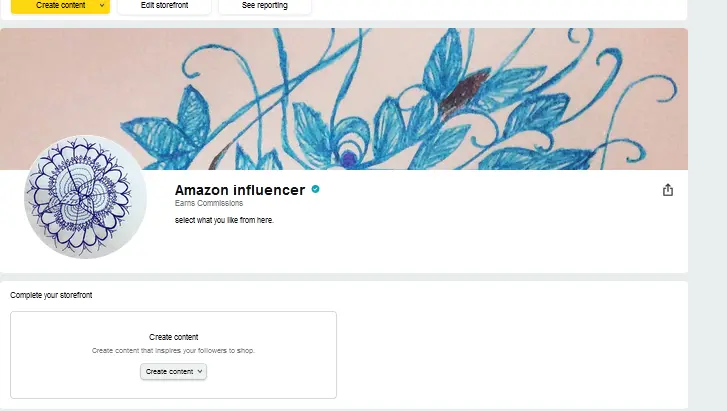 Amazon Influencer products