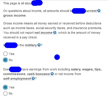 Family's income details