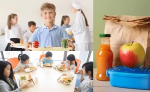 Free and Reduced Lunch Program Application 2023-24 [Guide]