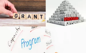 DHHS Grant Program 2022 Application - How to Apply?