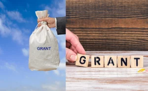 Apply for Walmart Foundation Grant Application [Quick Guide]