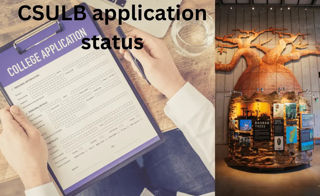 CSULB application status