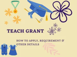 TEACH Grant Application Online Guide - Requirements & Eligibility