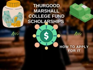Thurgood Marshall College Fund scholarships