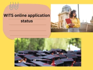 WITS online application status