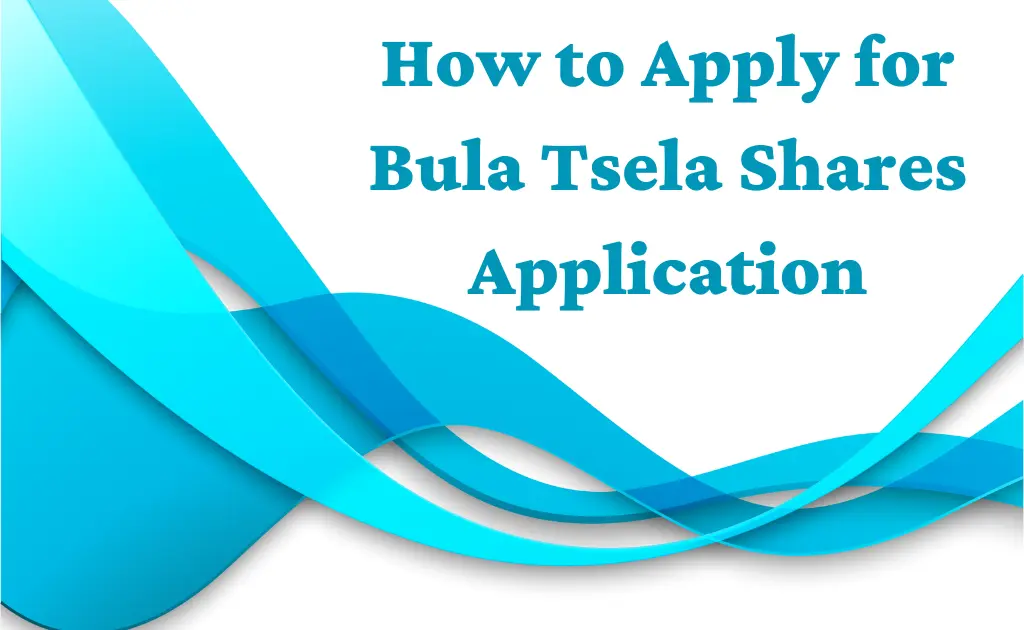 How to Apply for Bula Tsela Shares Application